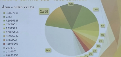 RB867515 se mantém como variedade de cana mais cultivada no Centro-Sul, mas vê pelo retrovisor a CTC4 e RB966928