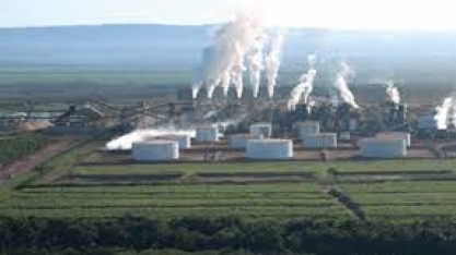 Uisa participa da Bonsucro Global Week 2022