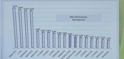 A variedade de cana RB867515 segue com maior intenção de plantio do Centro-Sul