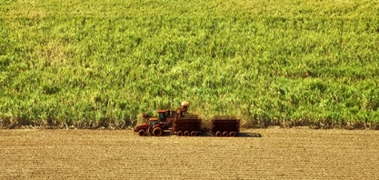 Moagem mantém recuperação, mas defasagem acumulada ainda é de 2,87% em relação à safra 2021/2022