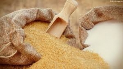 Estatísticas do açúcar: o excedente global de açúcar encolhe em 2022/23 em meio a reduções para vários produtores