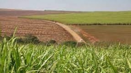 O futuro do RenovaBio