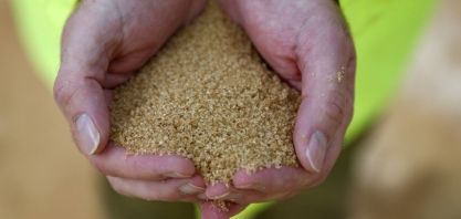 StoneX vê déficit global de açúcar em 21/22 com frustração no Brasil