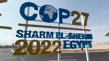 Unica apresenta na COP27 oportunidades em bioenergia