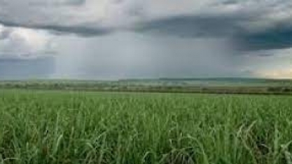 Previsão do tempo para hoje traz alertas para alagamentos e deslizamentos