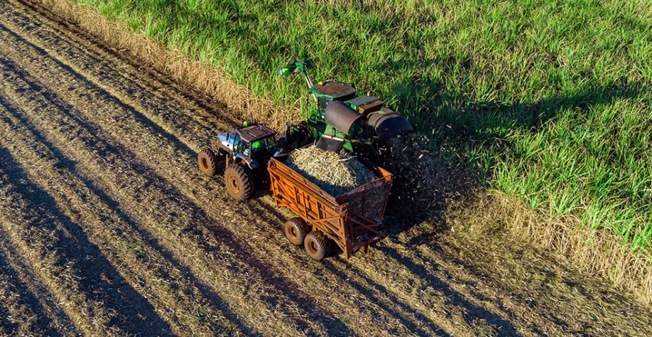 Agropecuária Iracema no futuro da descarbonização