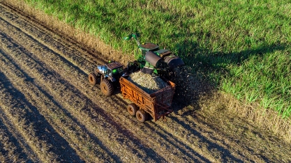 Agropecuária Iracema no futuro da descarbonização