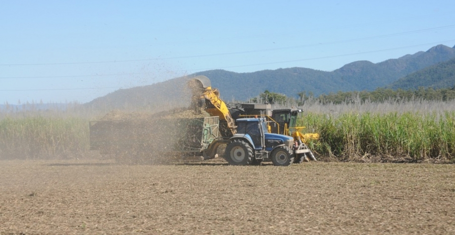 As exportações do país foram estimadas em 35 milhões de toneladas em 2023/24, alta anual de 4 milhões de toneladas (Imagem: Pixabay/KathyB-Photos)