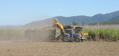Safras projeta aumento de 3,67% na moagem de cana 2023/24 e “mix” açucareiro