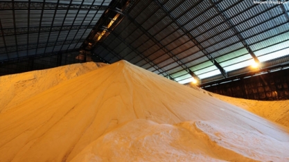Açúcar: contrato futuro fecha em alta com suporte financeiro e ganho expressivo do petróleo
