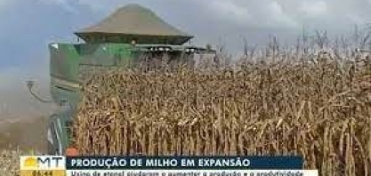 Usina de etanol ajudaram a aumentar a produção e a produtividade