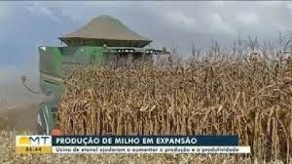 Usina de etanol ajudaram a aumentar a produção e a produtividade