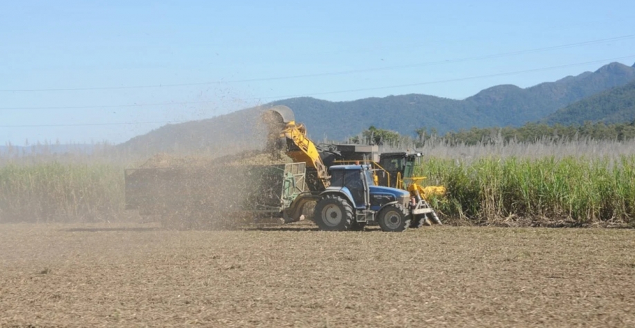 Até o dia 16 de novembro, 140 unidades estavam em operação no centro-sul, frente a 65 na safra 2021/22 (Imagem: Pixabay/KathyB-Photos)