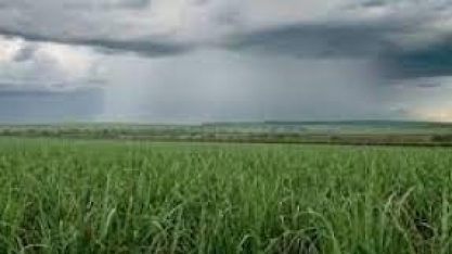 Chuva volumosa, ventos e raios; confira a previsão do tempo