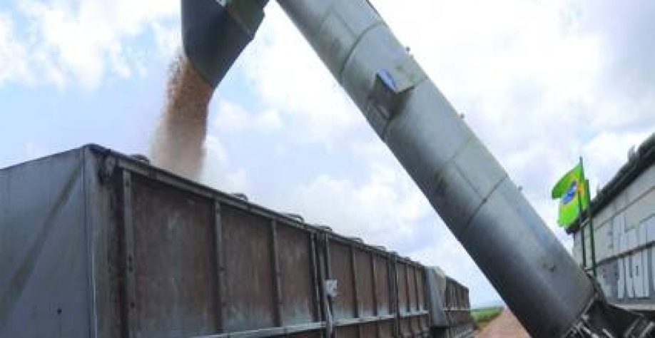 Colheita em área de meiose apontou aumento de produtividade tanto da soja, quando da cana - Foto: Divulgação