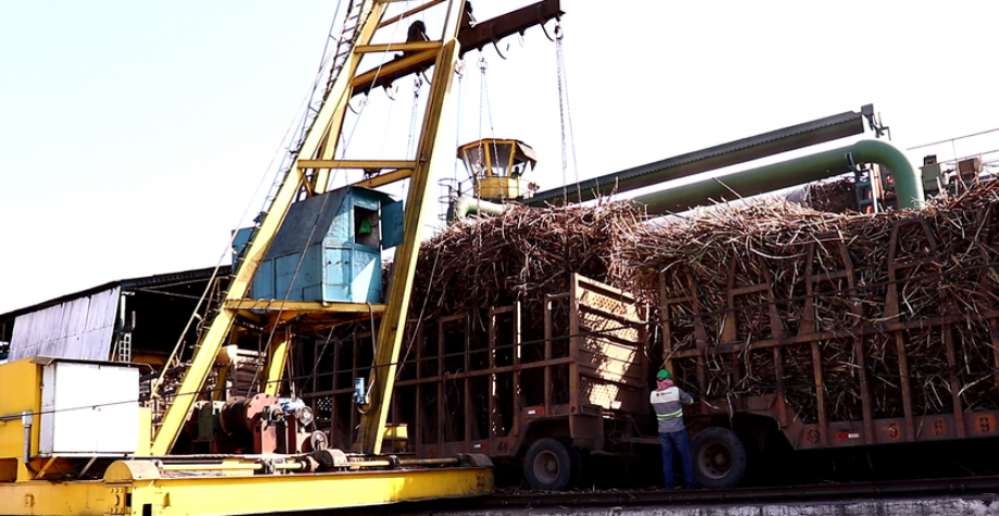Trabalho usineiro. - Foto: BCCOM