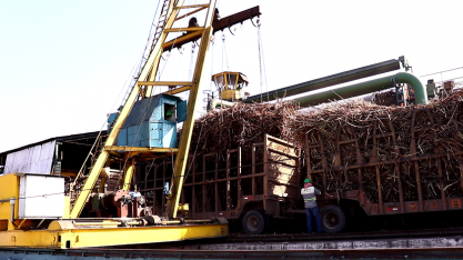 Sindaçúcar-AL: safra 22/23 processou até outubro mais de 4,6 milhões de toneladas de cana