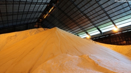 CS Brasil 23/24: Usinas Maximizarão a Produção de Açúcar