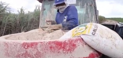 App desenvolvido na Ufal ajuda a definir quantidade ideal de calcário para correção do solo