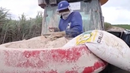 App desenvolvido na Ufal ajuda a definir quantidade ideal de calcário para correção do solo