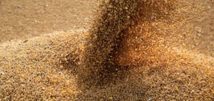 Caramuru pode elevar produção de biodiesel em até 40%