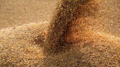Caramuru pode elevar produção de biodiesel em até 40%