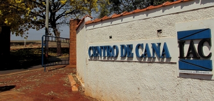 Governador Rodrigo Garcia e secretário de Agricultura autorizam abertura de concurso para pesquisador científico nos Institutos de Pesquisa do agro paulista