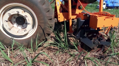 Corte de soqueira para controle de Sphenophorus levis, seja nas pontas ou no meio da safra da cana, a DMB tem a melhor solução