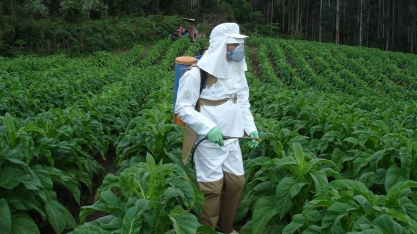 Unidade de Referência lança curso inédito para instrutores de segurança e tecnologia na aplicação de agrotóxicos