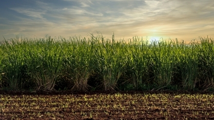Para consultor associado da Canaplan, não podemos mais viver à mercê do clima