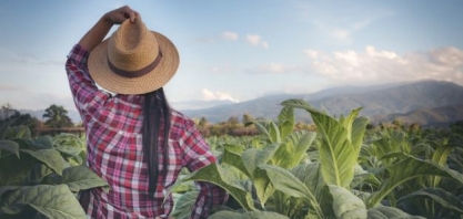 Agronegócio é responsável por quase 1/3 do PIB do país