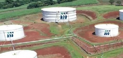 São Martinho (SMTO3) tem lucro de R$ 212,6 milhões no segundo trimestre da safra 22/23