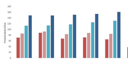 Irrigação por gotejamento é a tecnologia que mais permite uma aproximação do real potencial produtivo da cana-de-açúcar
