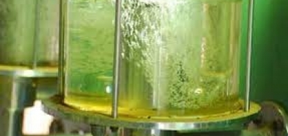 Carro híbrido a etanol da Volks será mais ´popular´