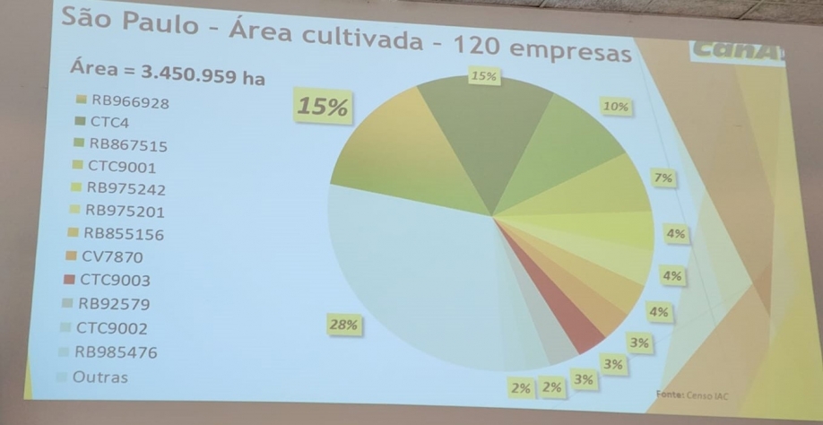 Área cultivada