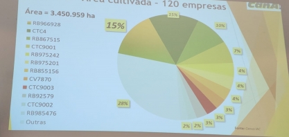 Estado de São Paulo apresenta empate entre as variedades de cana mais cultivadas e plantadas