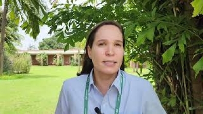 Vem aí um bioherbicida que vai controlar de forma ecológica as plantas daninhas dos canaviais