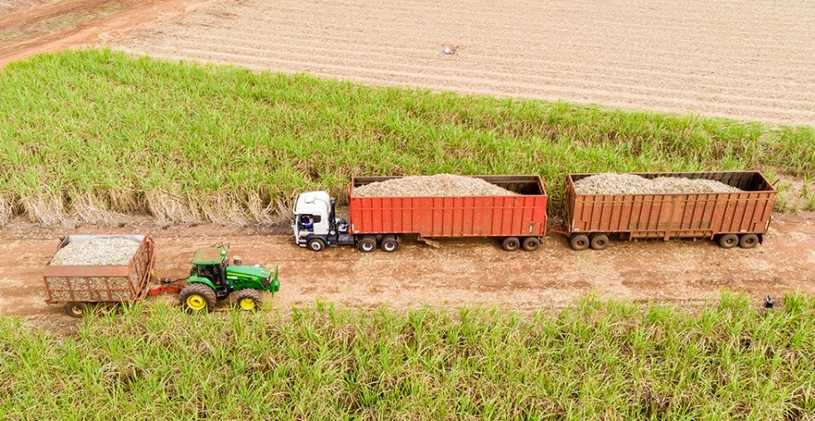 Agropecuária Iracema divulga moagem de cana no Centro-Sul