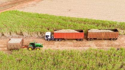Agropecuária Iracema divulga moagem de cana no Centro-Sul