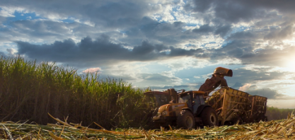 Tim anuncia parceria com BP Bunge Bioenergia e alcança 12 milhões de hectares conectados com 4G