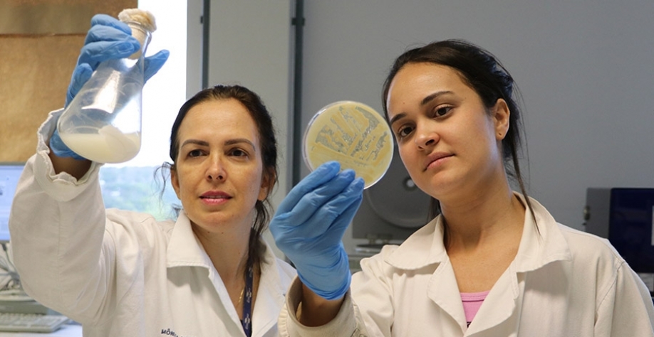 A pesquisadora Mônica Damaso (à esquerda) e a bolsista Ana Clara Braga Rodrigues observam células microbianas durante o crescimento e a produção de ácido orgânico. Foto: Irene Santana