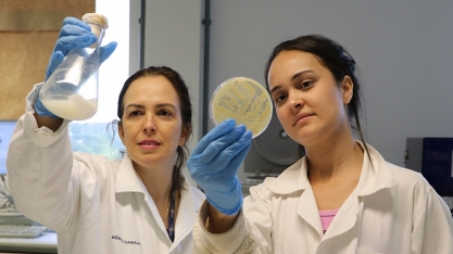 Novos mapas de rotas tecnológicas direcionam pesquisas com álcoois e ácidos de base biológica