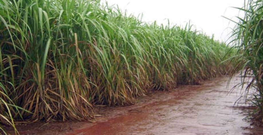 Novembro teve um acumulado de 251,1 mm, apesar de ter média histórica de 44,3 mm - Foto: ARQUIVO 