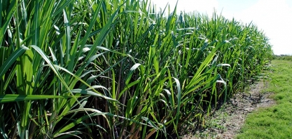 ATR de dezembro tem variação positiva de 4,6%