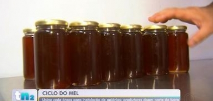 Apicultores se unem a usina para doar lucro a entidades assistenciais em Botucatu