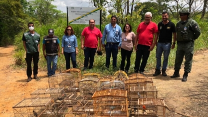 Aves silvestres resgatadas pela FPI são soltas em RPPN da Unidade Marituba 