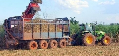 Clima foi um desafio na safra de cana-de-açúcar, que está perto do fim