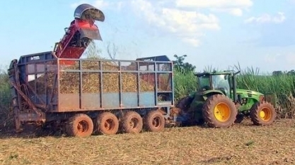 Clima foi um desafio na safra de cana-de-açúcar, que está perto do fim