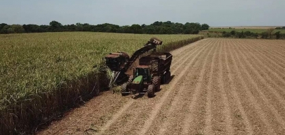 Produção de cana-de-açúcar cresce 2,7% e pode chegar a 42,4 mil toneladas em MS