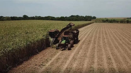 Produção de cana-de-açúcar cresce 2,7% e pode chegar a 42,4 mil toneladas em MS